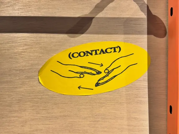 Wunderino Cazino Cazinou Suport